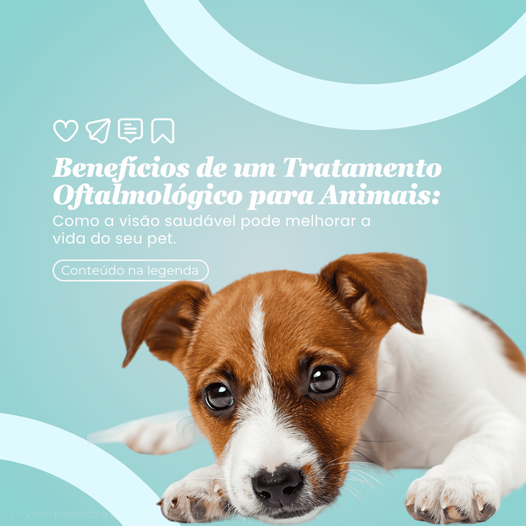 Imagem pertence a @creativepacksarts (10)