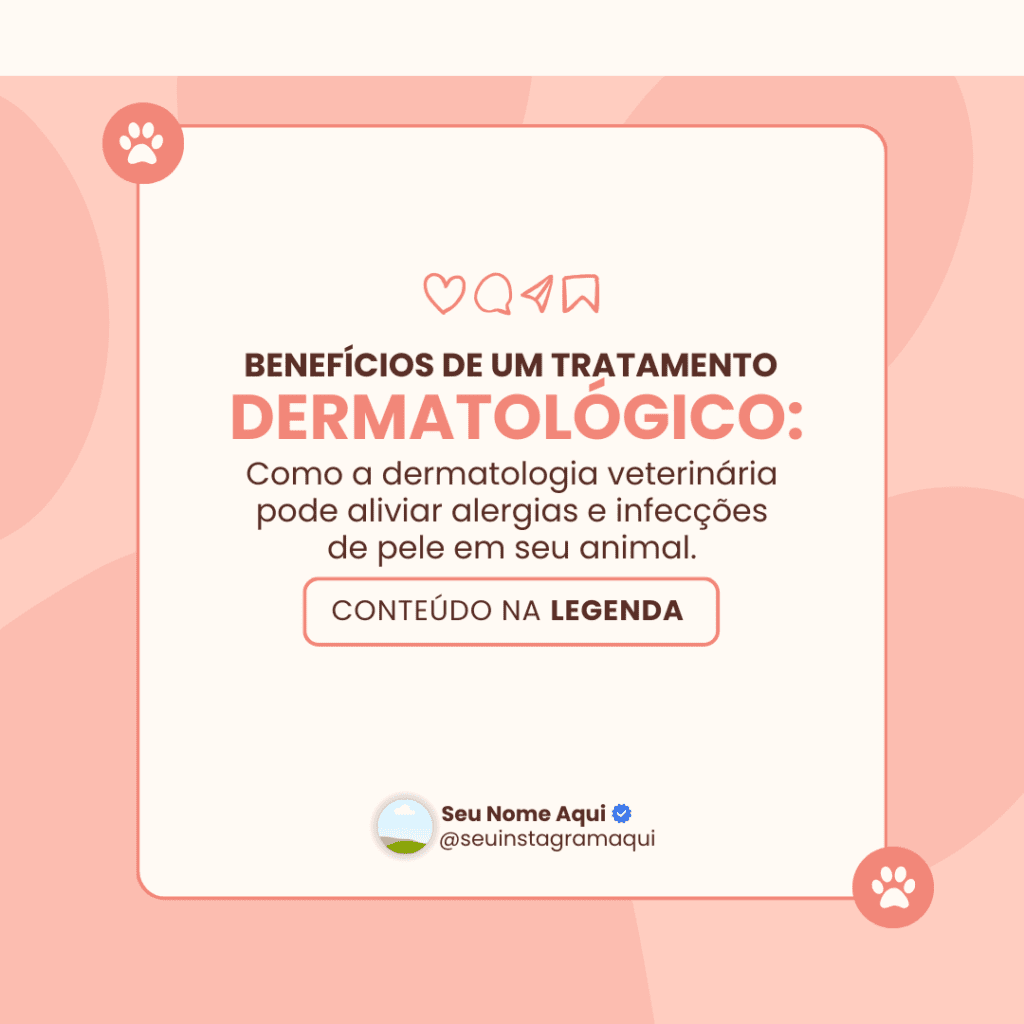 Imagem pertence a @creativepacksarts (11)