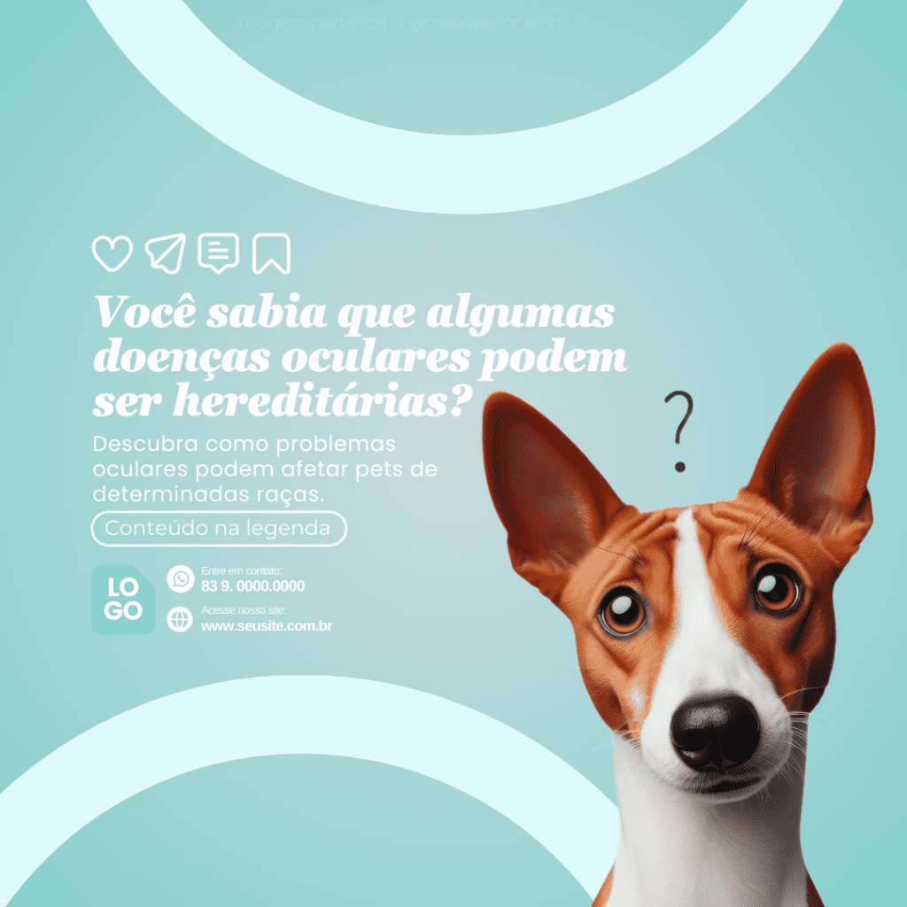 Imagem pertence a @creativepacksarts (12)