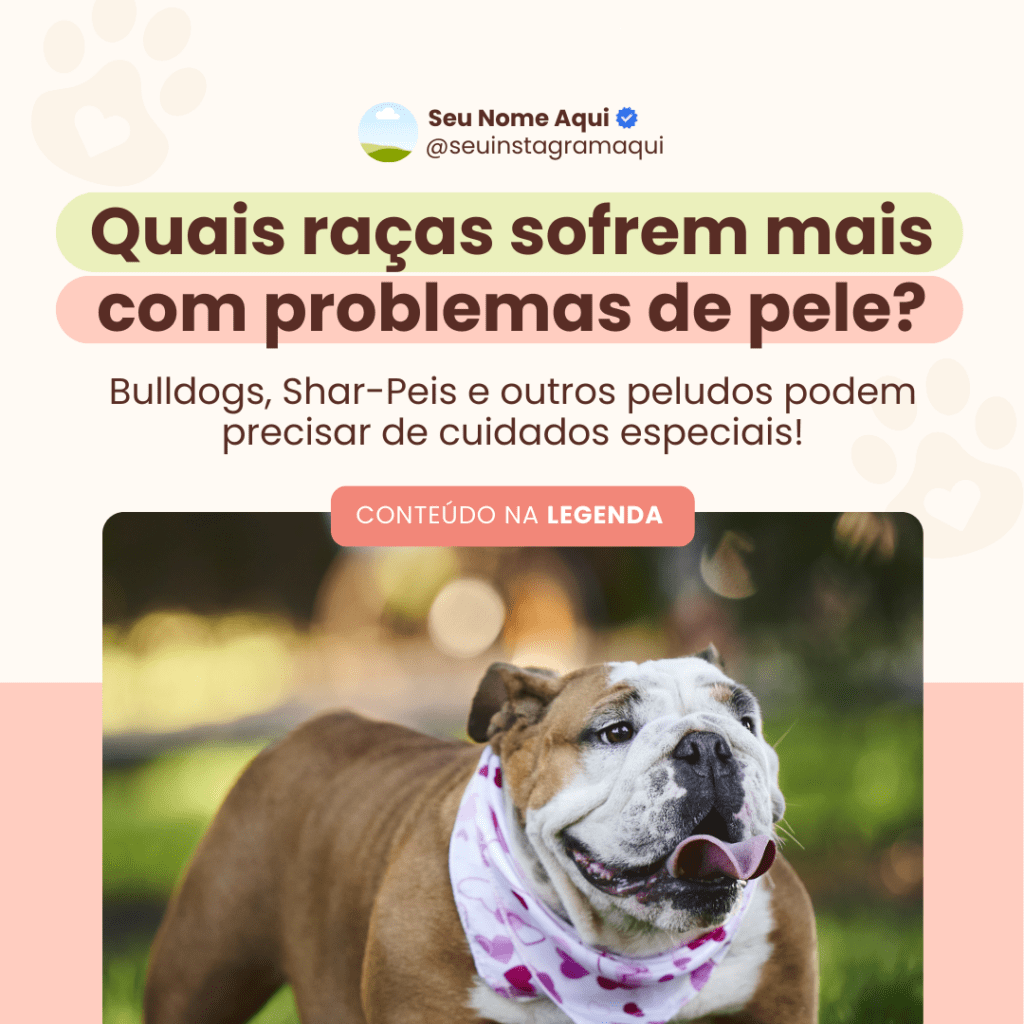 Imagem pertence a @creativepacksarts (12)