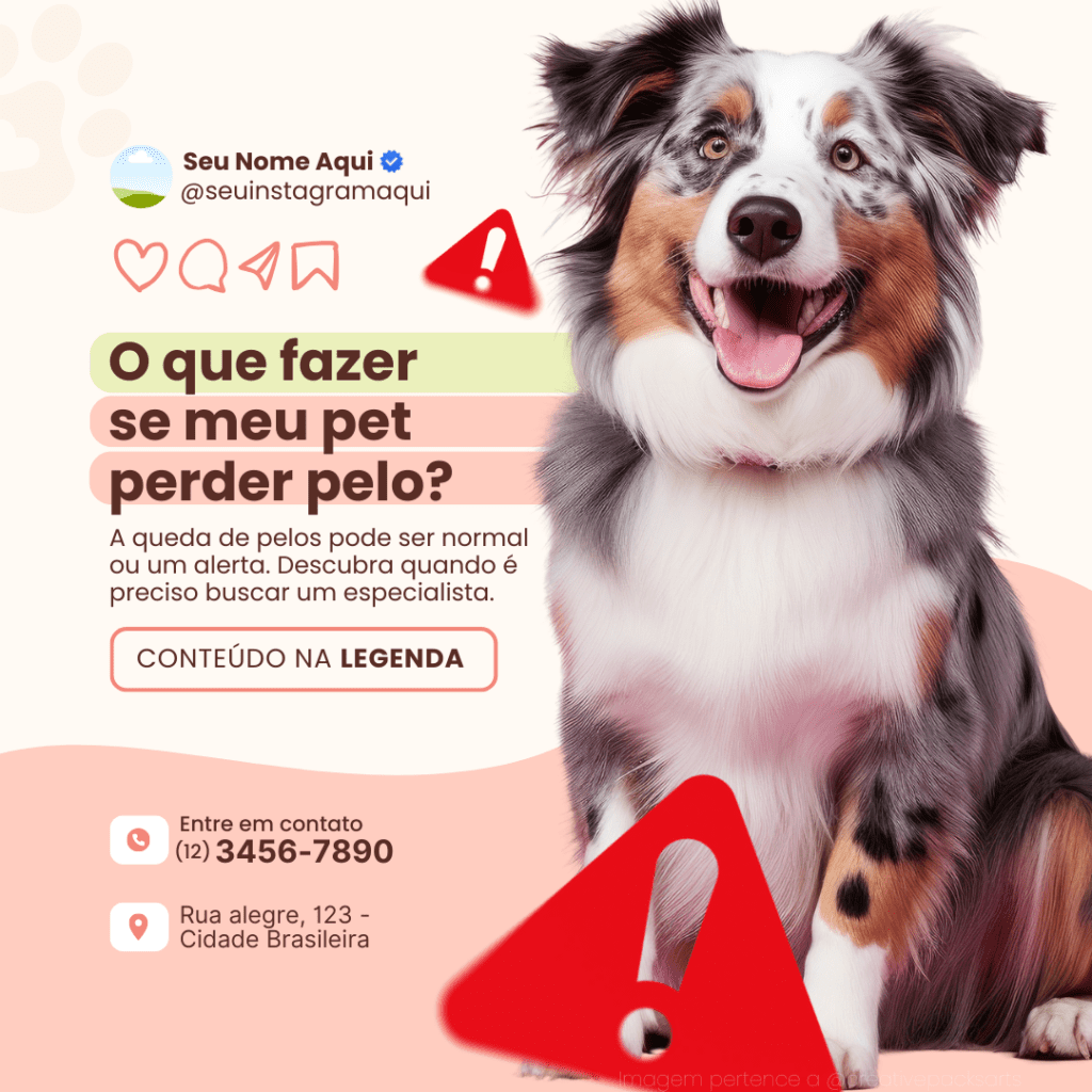 Imagem pertence a @creativepacksarts (14)