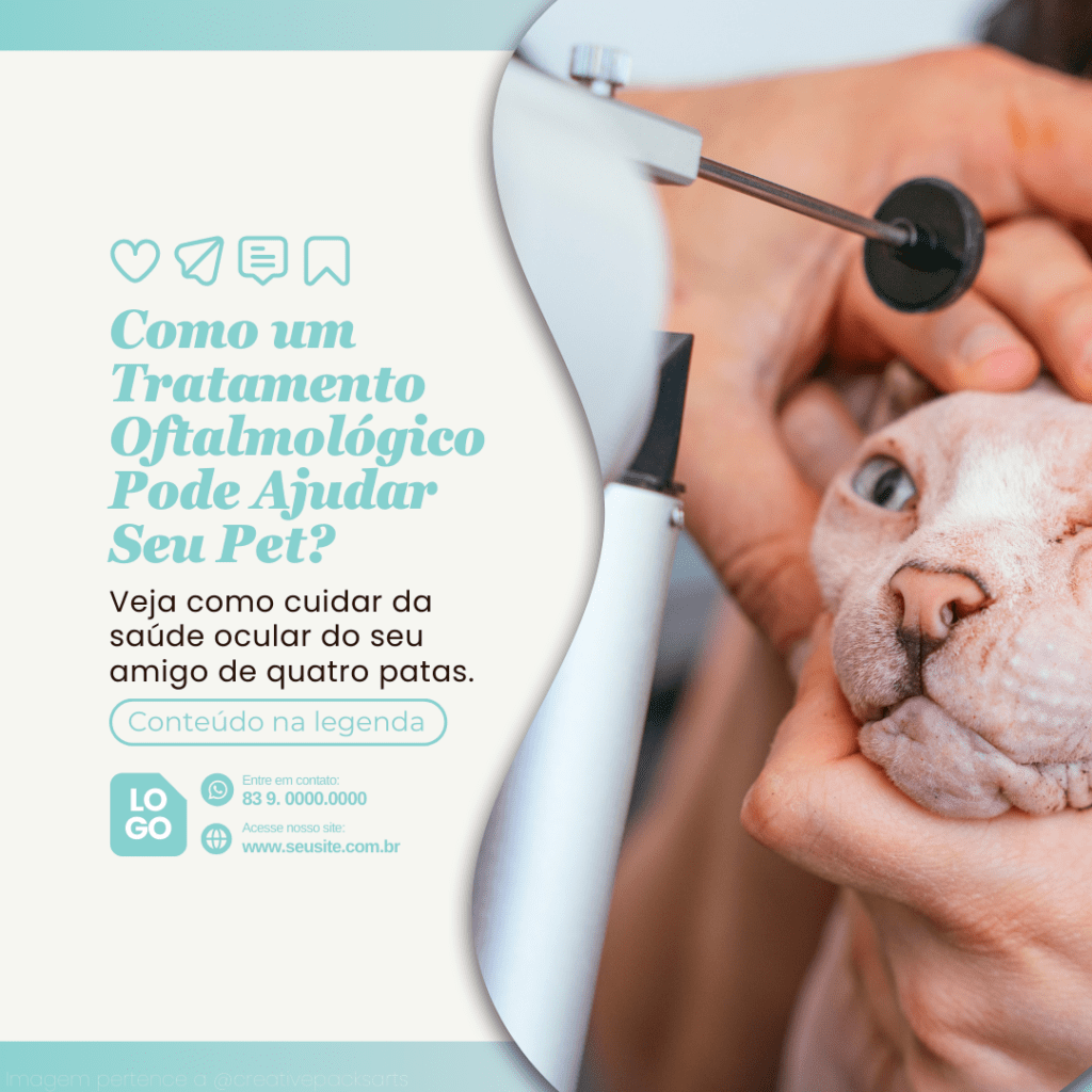 Imagem pertence a @creativepacksarts (15)