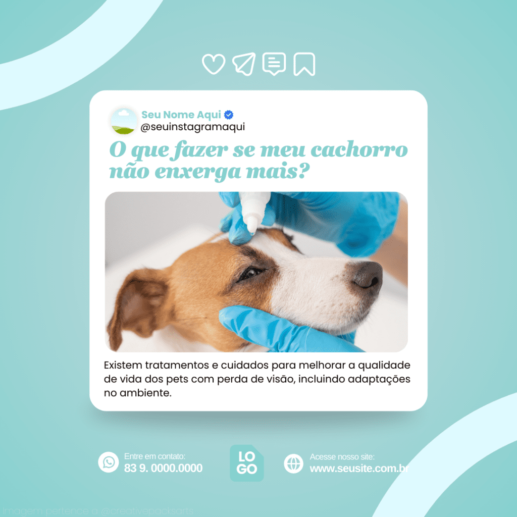 Imagem pertence a @creativepacksarts (2)