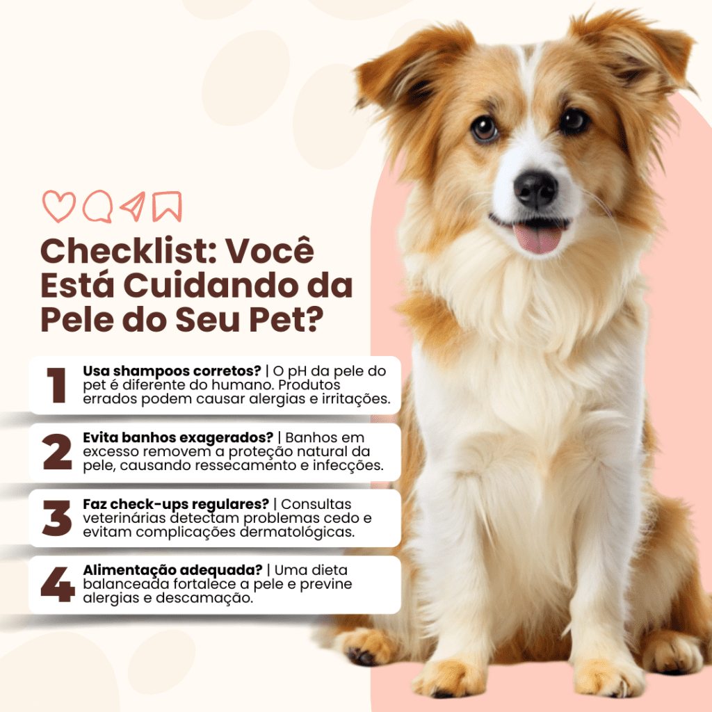 Imagem pertence a @creativepacksarts (2)