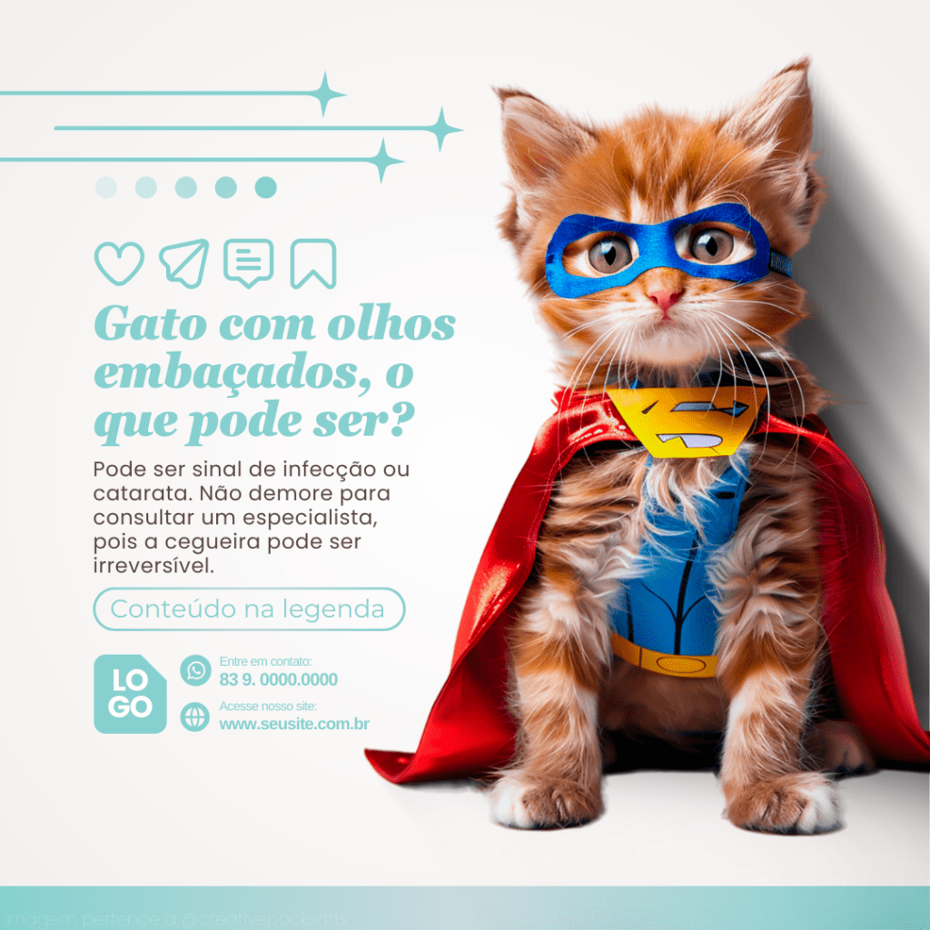 Imagem pertence a @creativepacksarts (3)