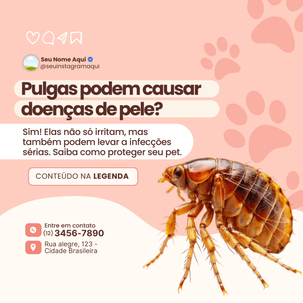 Imagem pertence a @creativepacksarts (3)