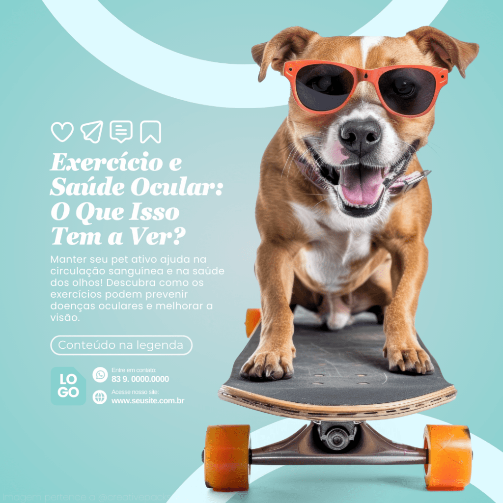 Imagem pertence a @creativepacksarts (4)