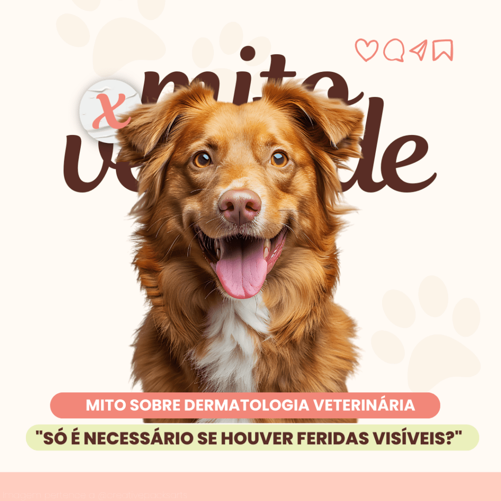 Imagem pertence a @creativepacksarts (4)