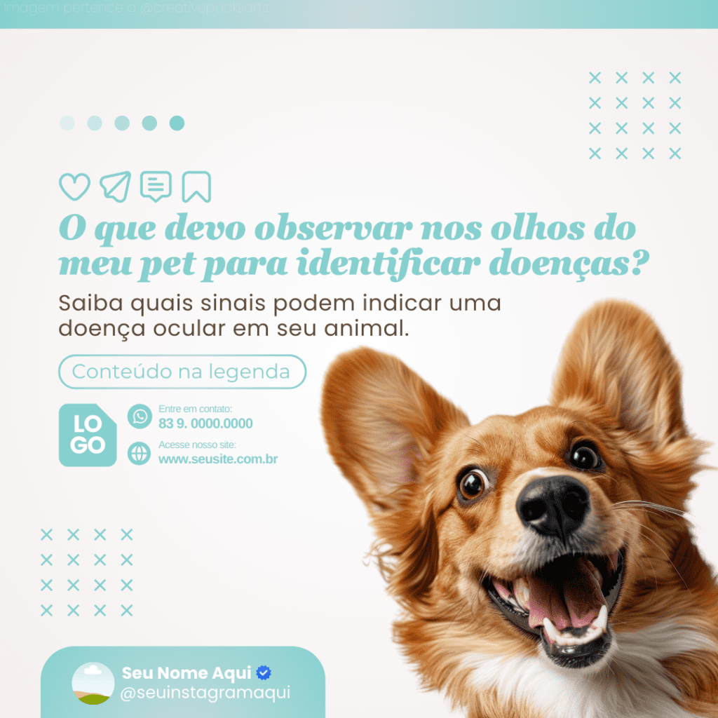 Imagem pertence a @creativepacksarts (7)