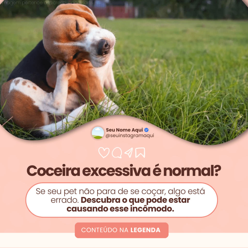 Imagem pertence a @creativepacksarts (7)