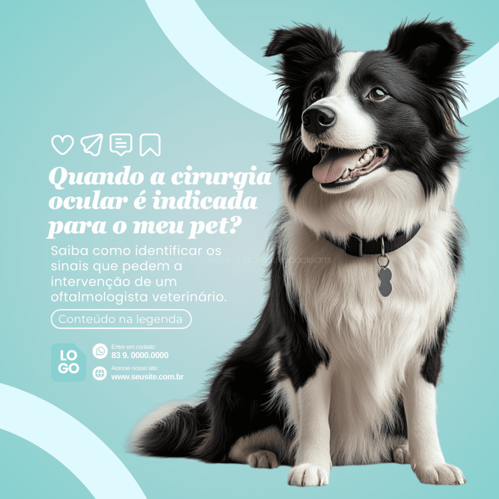 Imagem pertence a @creativepacksarts (8)