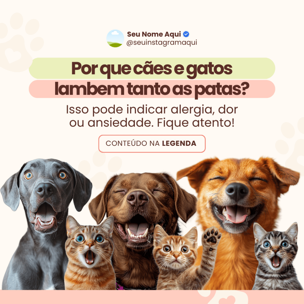 Imagem pertence a @creativepacksarts (8)