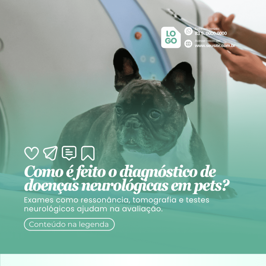 Imagem pertence a @creativepacksarts (10)