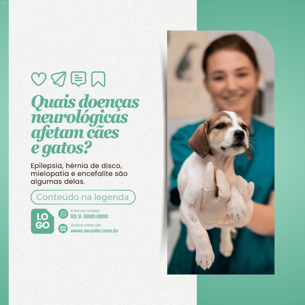 Imagem pertence a @creativepacksarts (11)