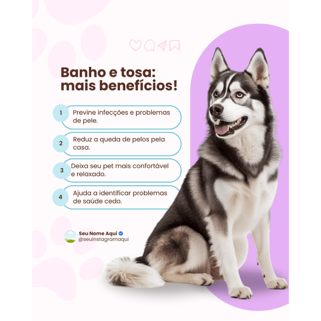 Imagem pertence a @creativepacksarts (11)