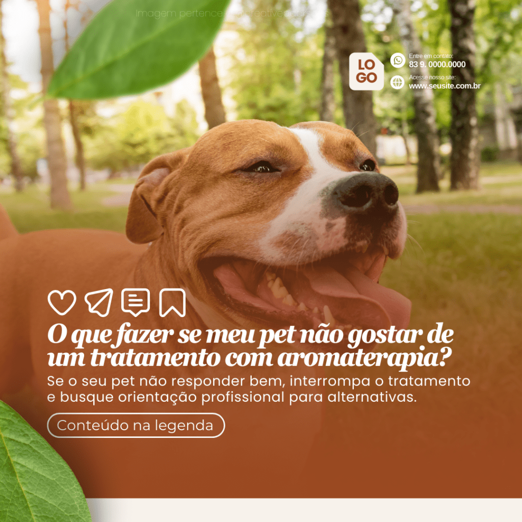 Imagem pertence a @creativepacksarts (12)