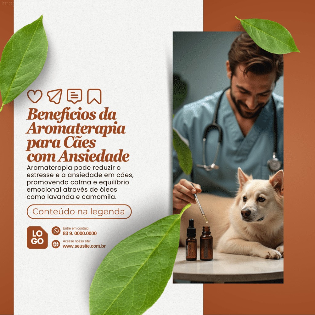 Imagem pertence a @creativepacksarts (13)