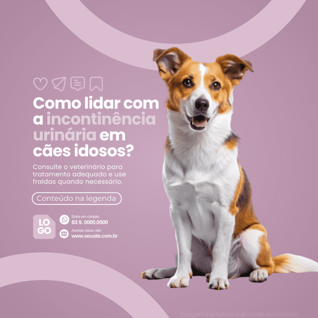 Imagem pertence a @creativepacksarts (14)