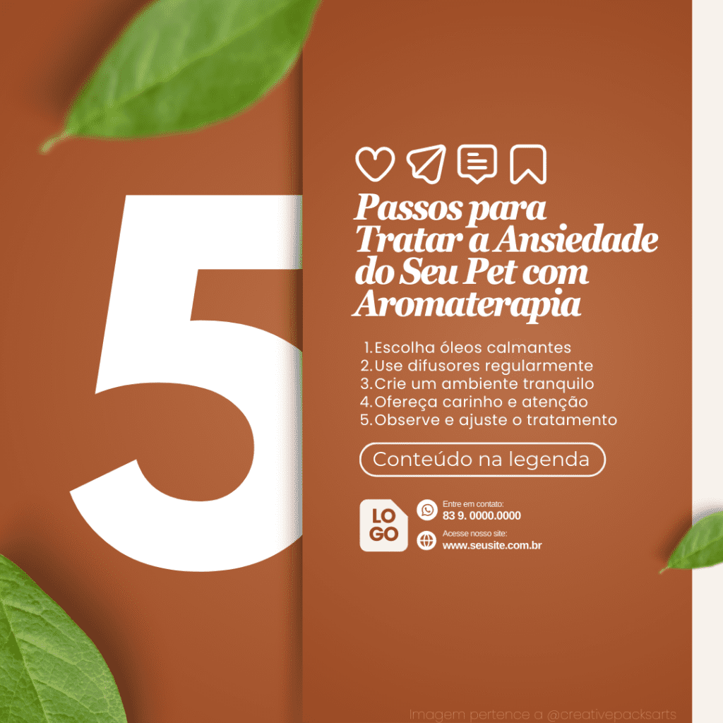 Imagem pertence a @creativepacksarts (14)