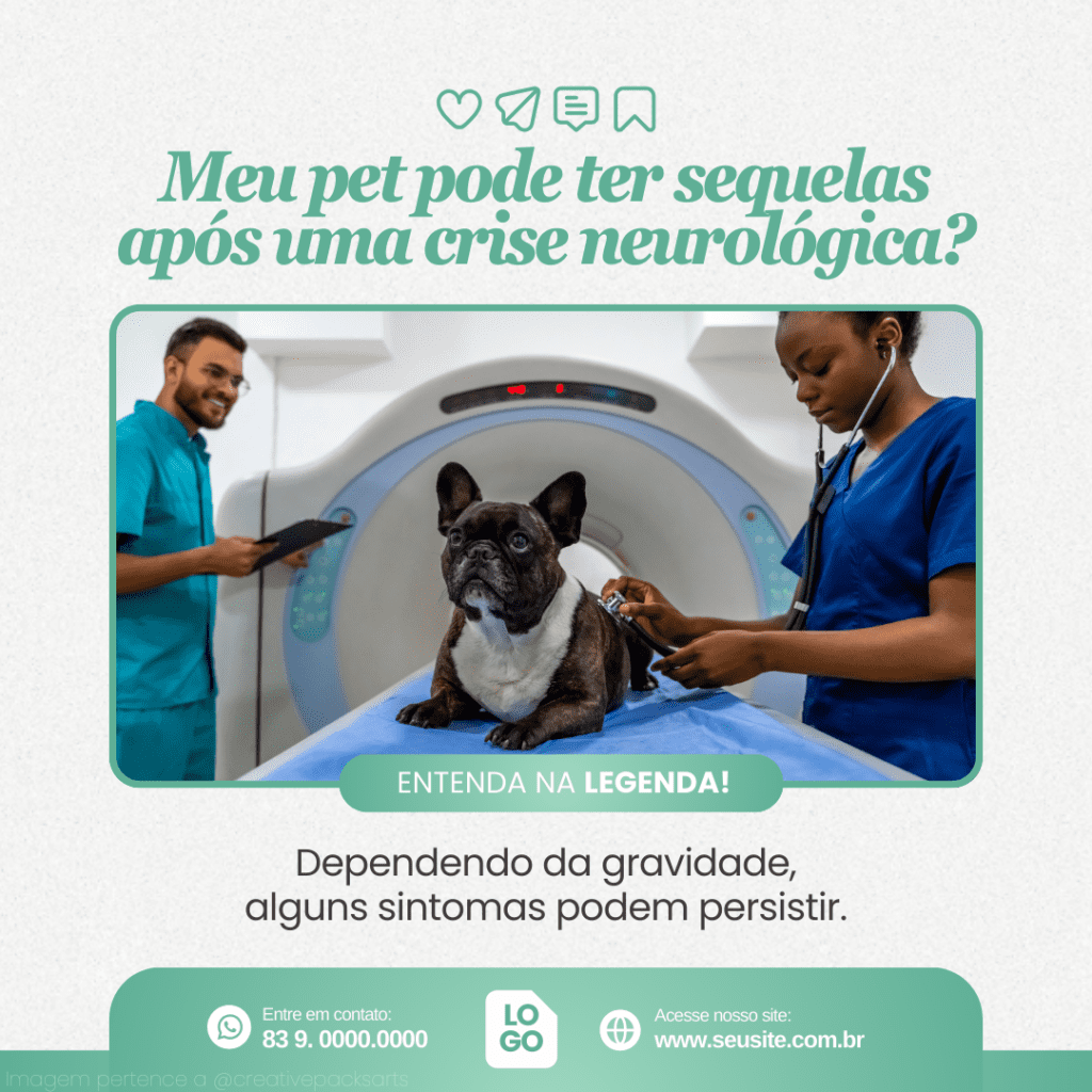 Imagem pertence a @creativepacksarts (15)