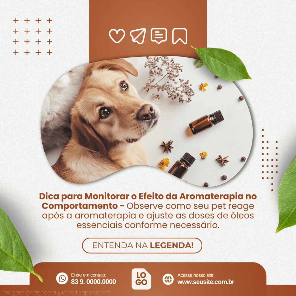 Imagem pertence a @creativepacksarts (15)