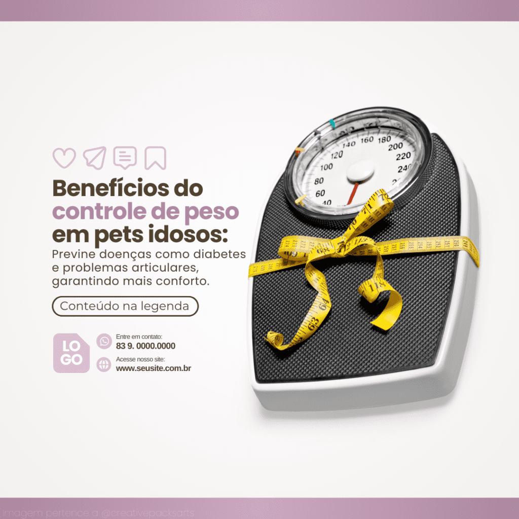 Imagem pertence a @creativepacksarts (3)