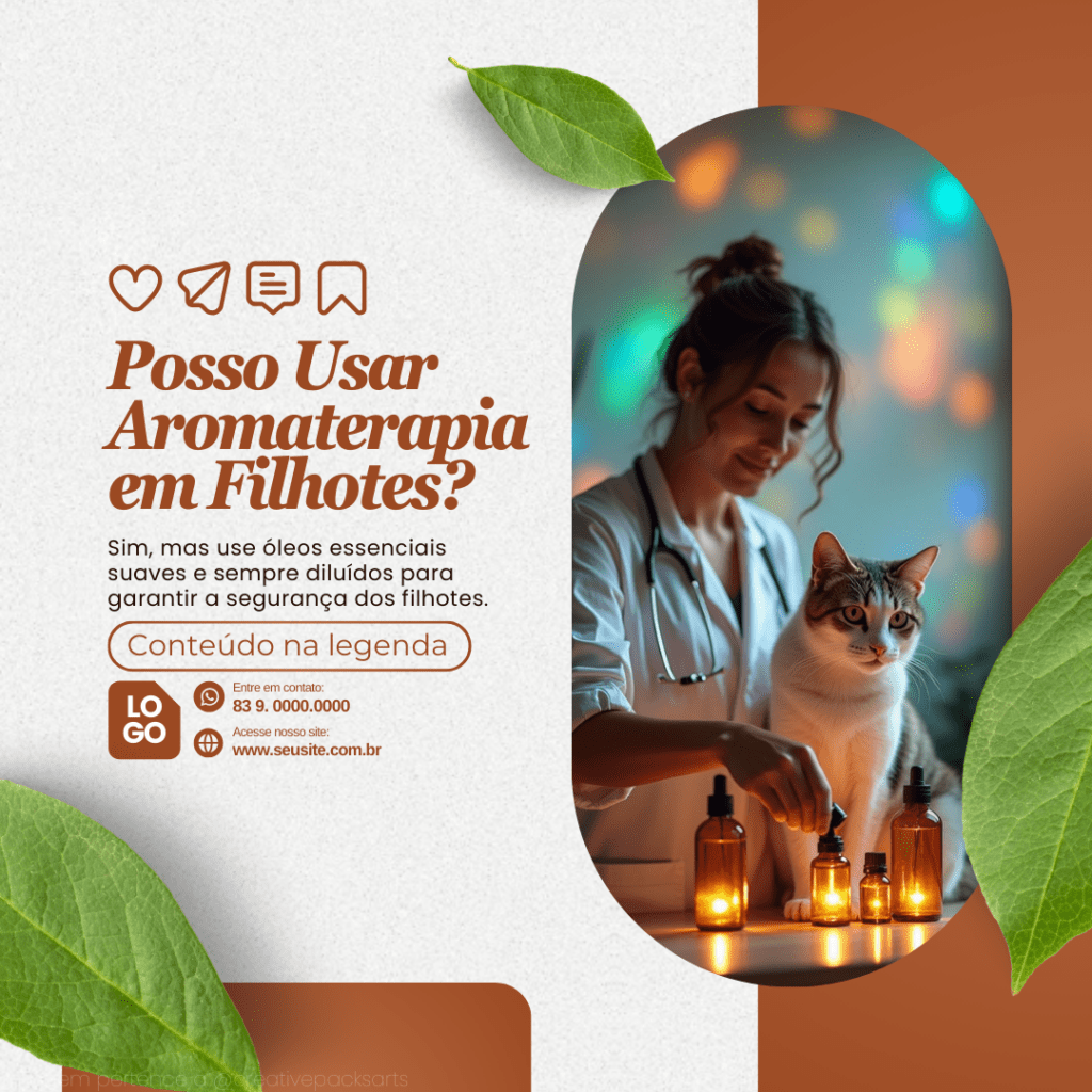 Imagem pertence a @creativepacksarts (3)