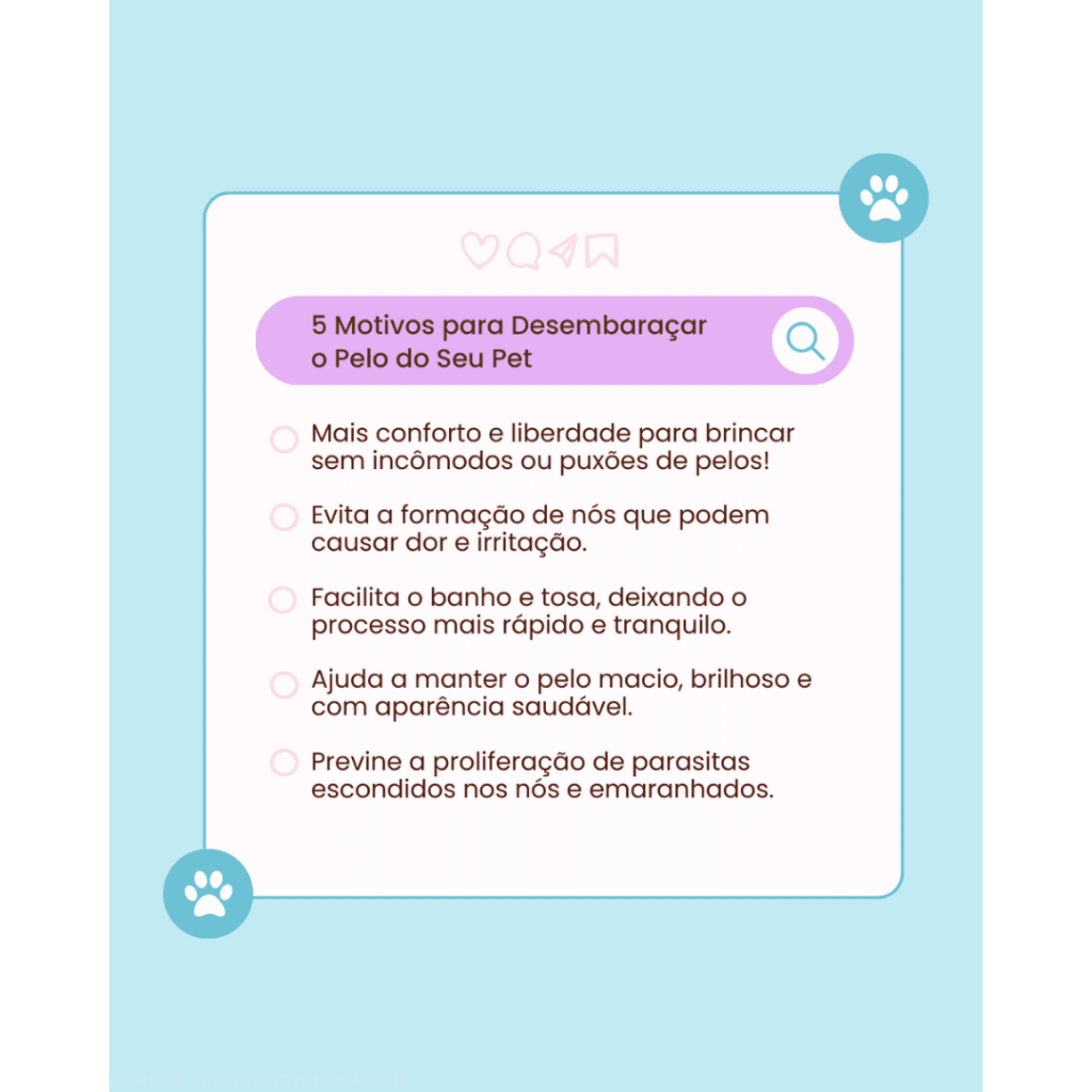 Imagem pertence a @creativepacksarts (3)