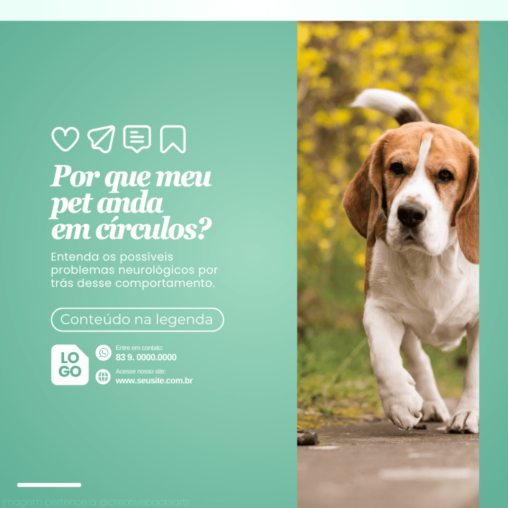 Imagem pertence a @creativepacksarts (4)