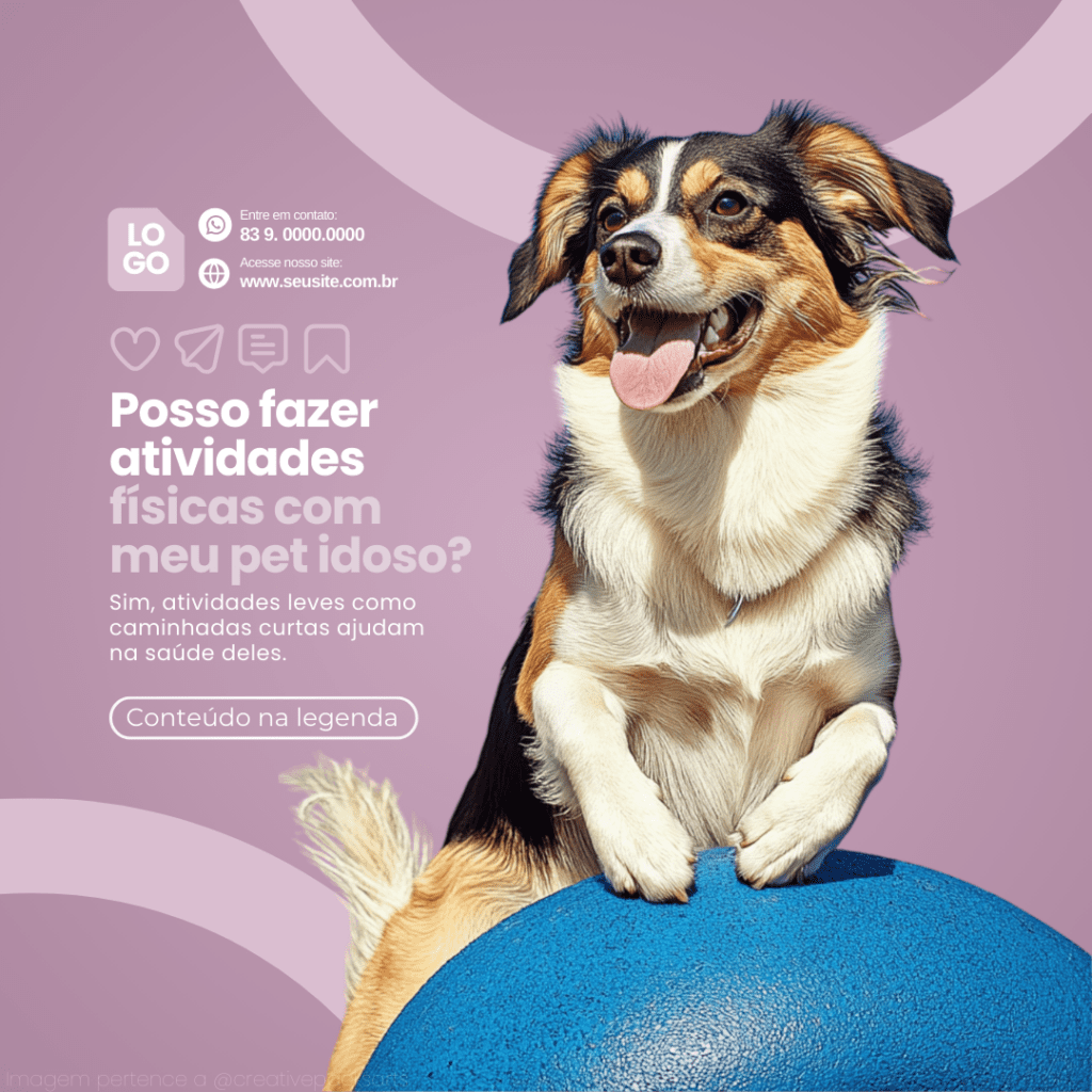 Imagem pertence a @creativepacksarts (4)