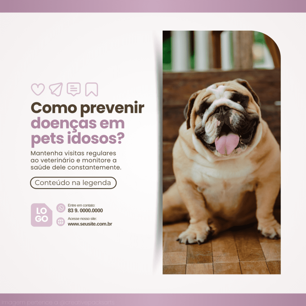 Imagem pertence a @creativepacksarts (5)