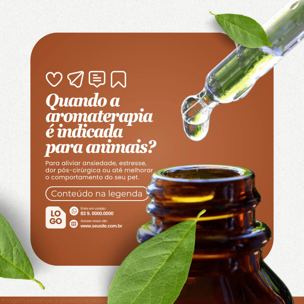 Imagem pertence a @creativepacksarts (5)