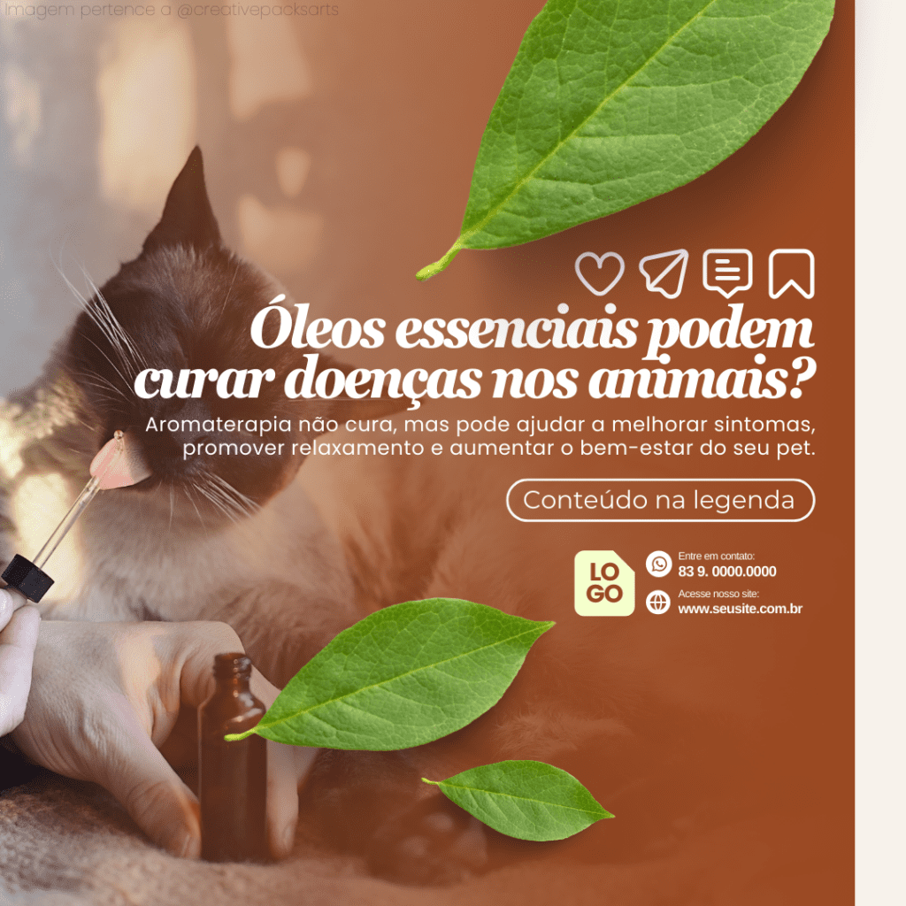 Imagem pertence a @creativepacksarts (6)