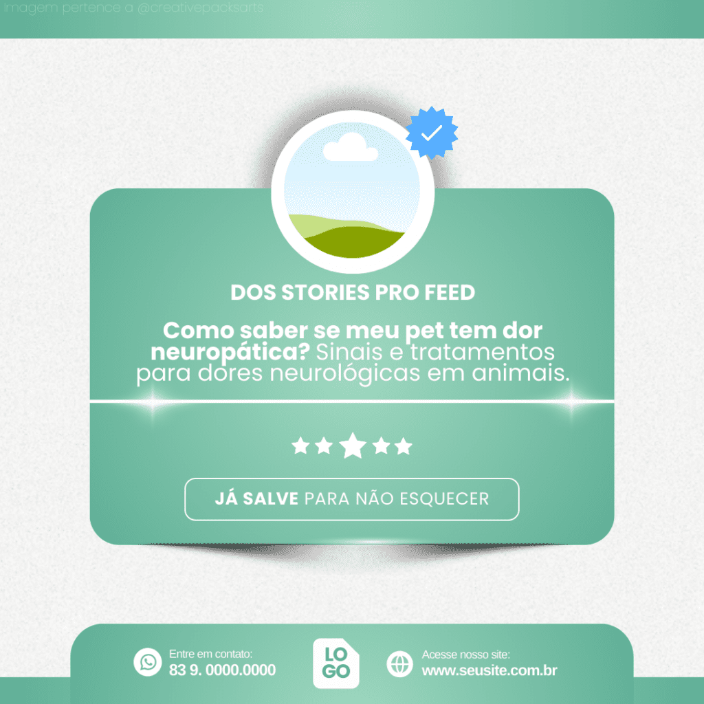 Imagem pertence a @creativepacksarts (7)