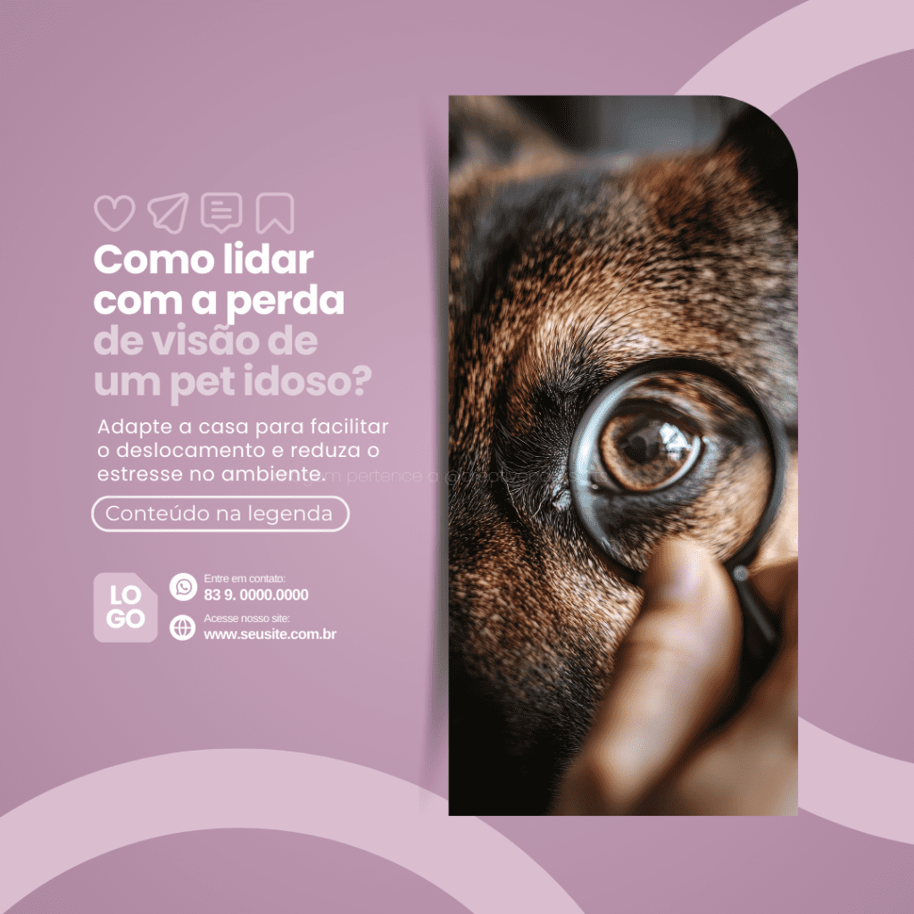 Imagem pertence a @creativepacksarts (8)