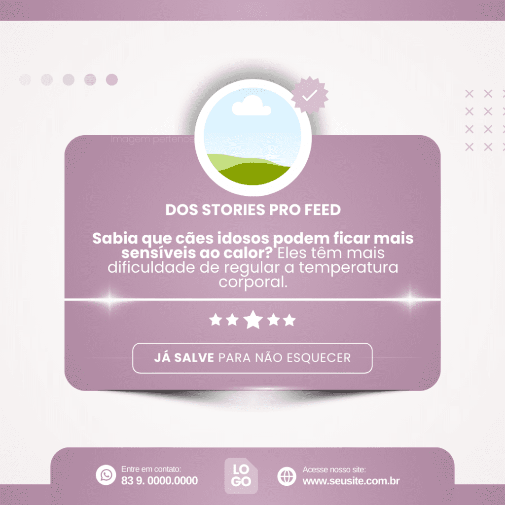 Imagem pertence a @creativepacksarts (9)